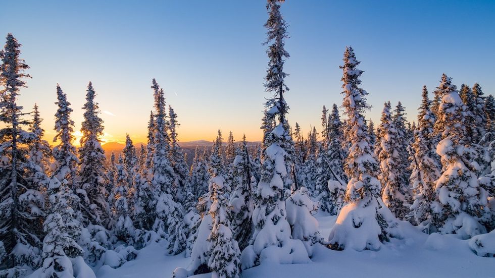 fa903b48 0645 4f6b a316 79213bddb9e5