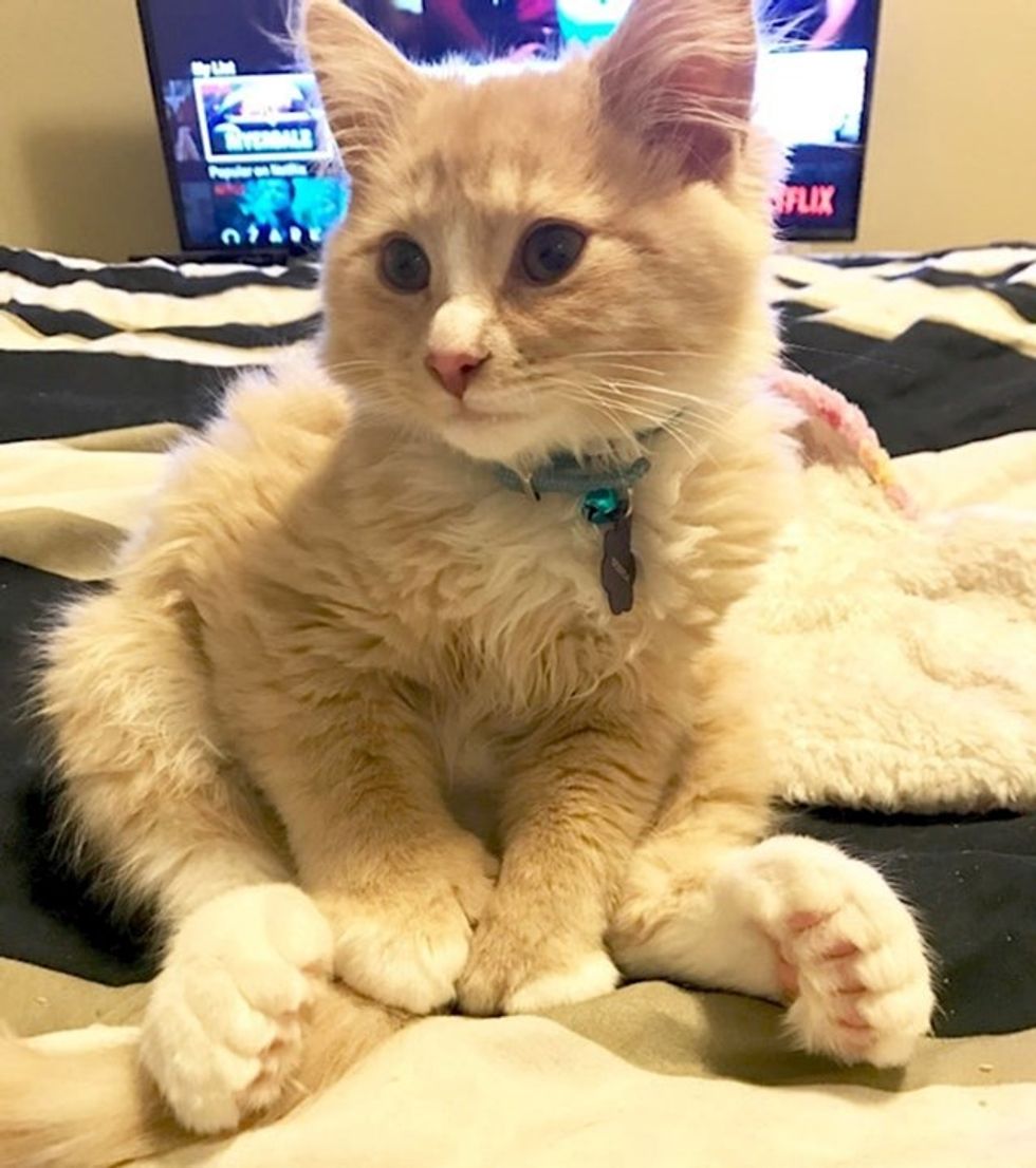 fa94f4c8 f989 40e9 93aa 9e52bfb4c3ba