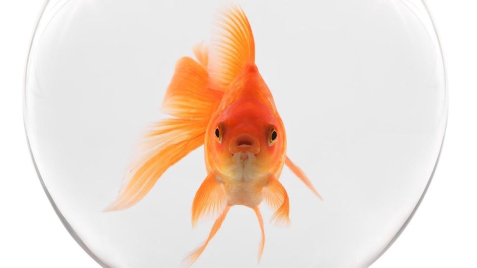 fab240d8c3171965879b8c7dea4ce245 1