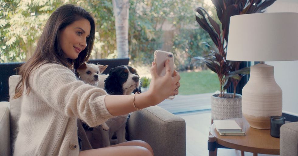 FACEBOOK Shelter Pet Project