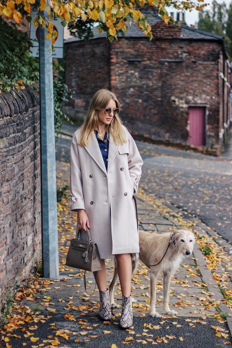 Fashion bloggers and their pets Charlotte Buttrick Lurchhoundloves.com 1