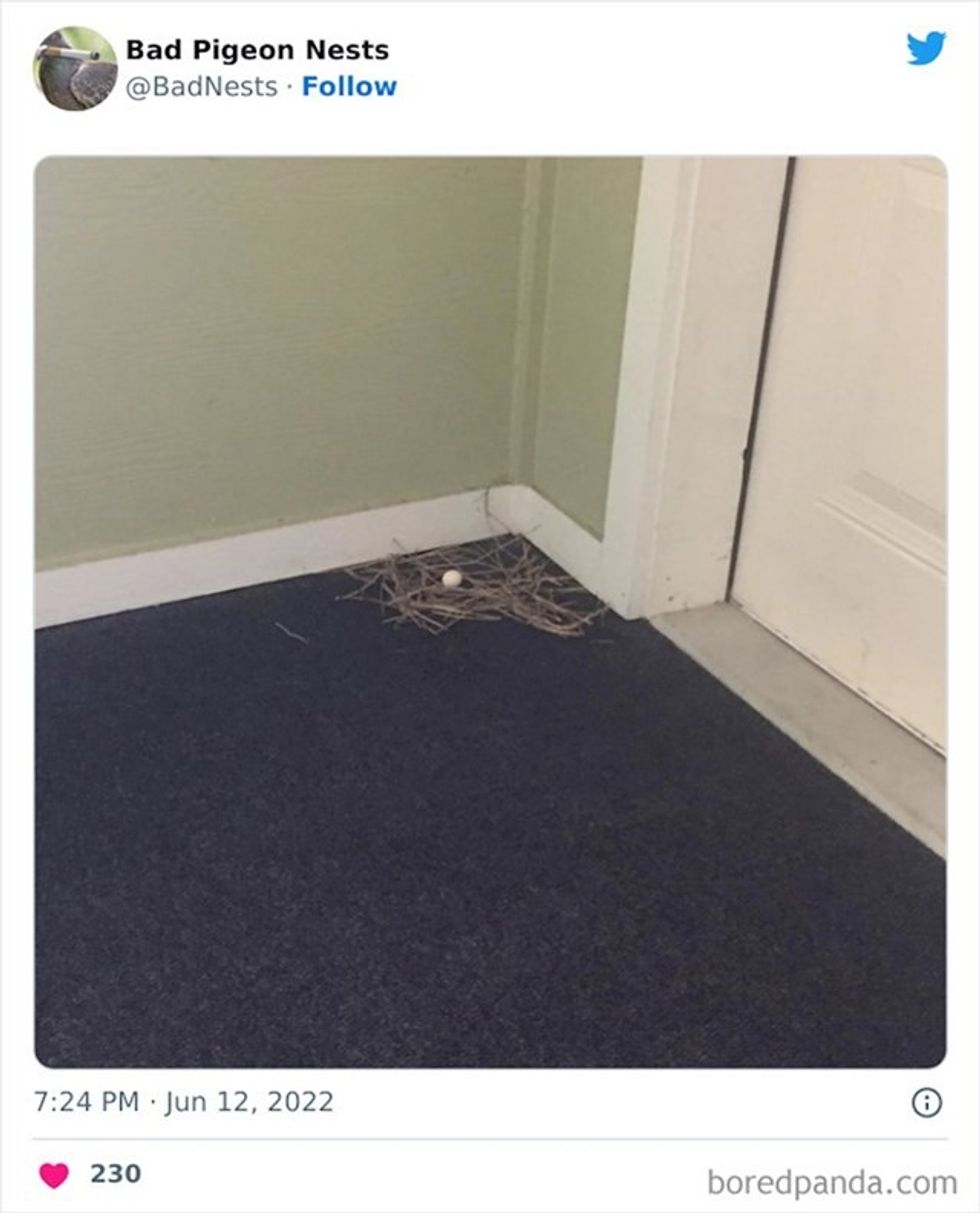 fc426c48 eb39 4b37 adab 33b56f1bf68b