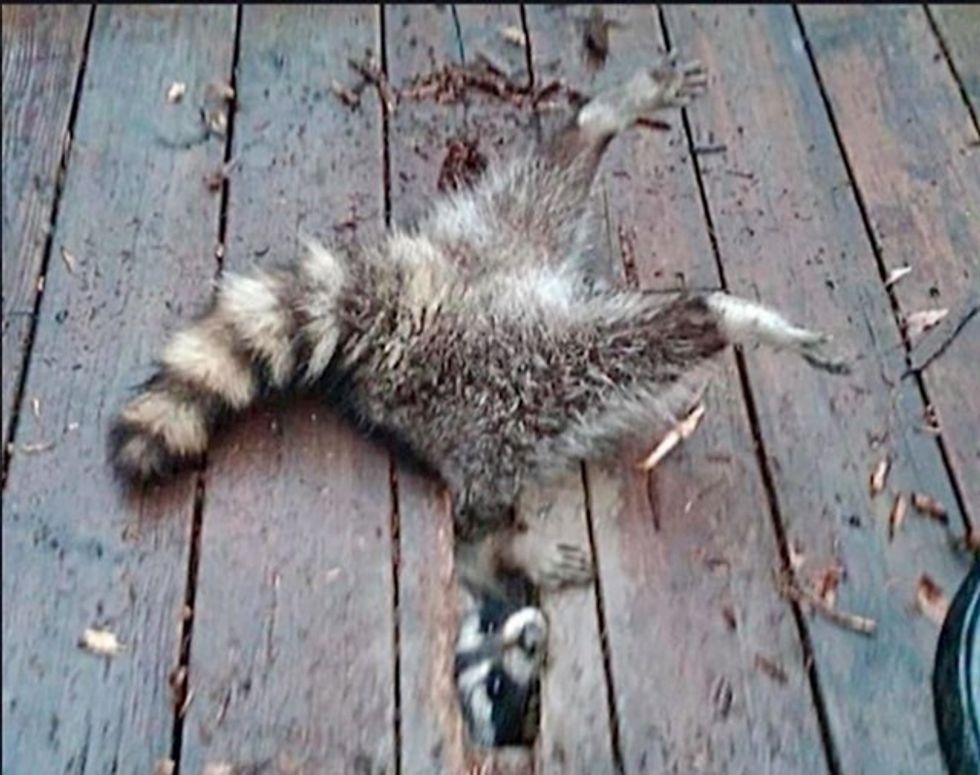 fd113a72 16dc 4ce4 917b 1dcddc8f3cd1