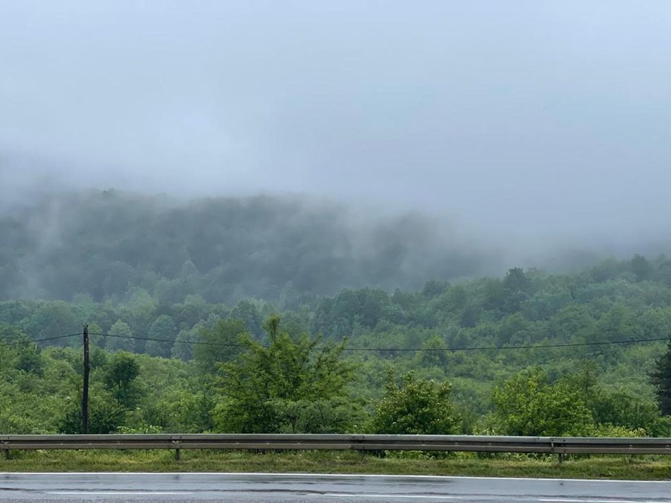 fd8afbc15c4ccb459cf8