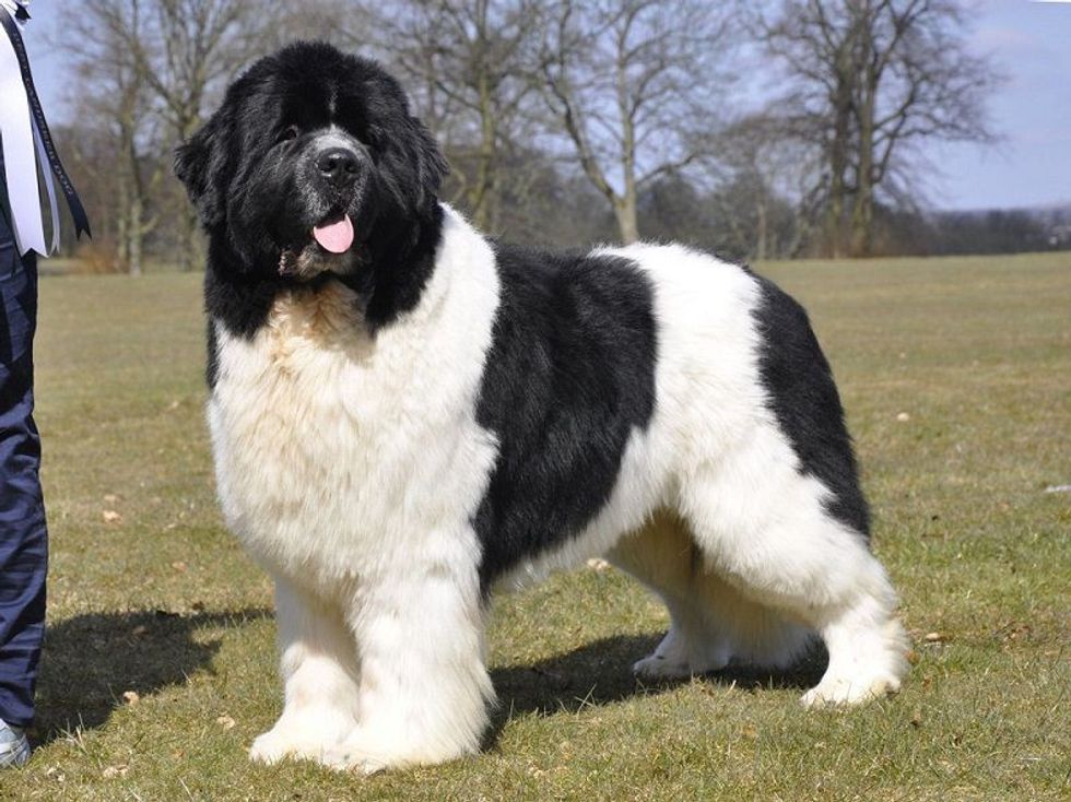 fec0a67771f881fbee6236ada5c222d3