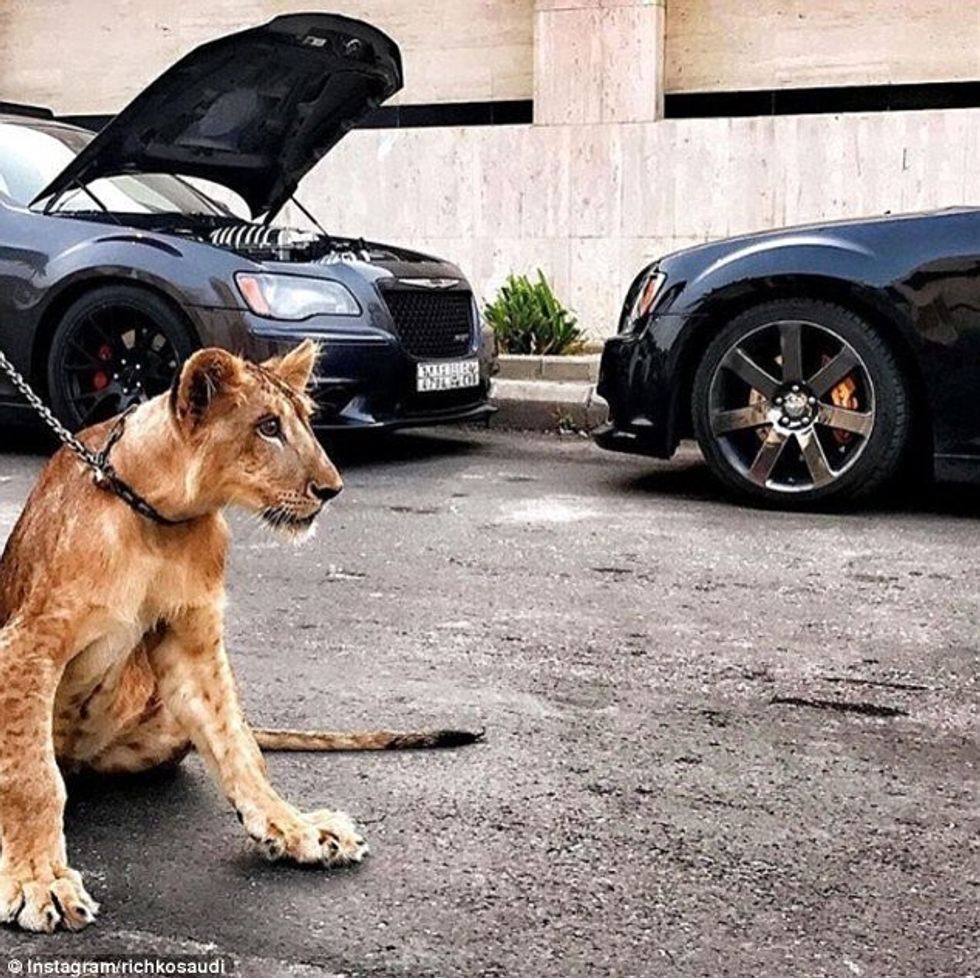 Fëmijët e pasur të Arabisë Saudite tregojnë super veturat luksoze dhe kafshet ekzotike foto 10