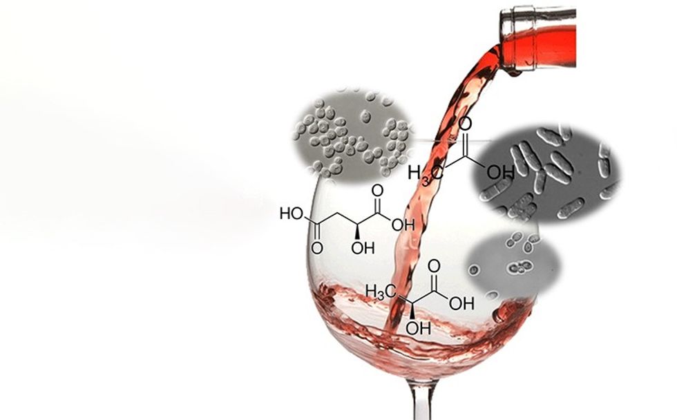 fermentation 05 00027 ag