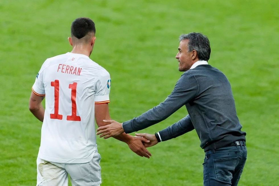 ferran torres luis enrique ewrfdscv