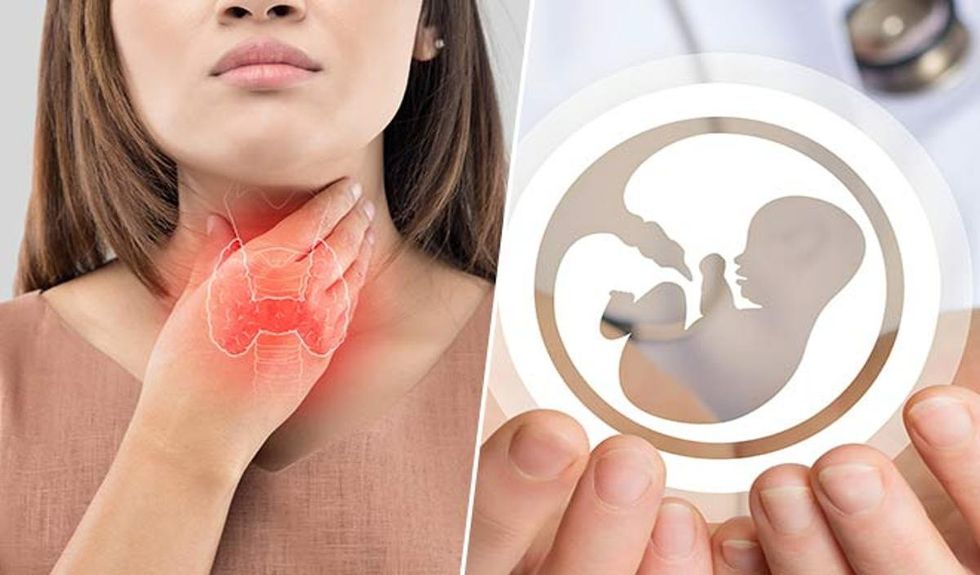 fertility thyroid main g