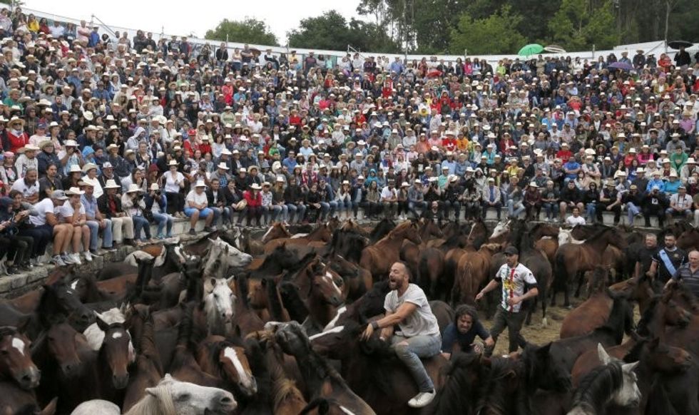 Festivali shqetësues ku kuajve të egër u shkulin jelat dhe bishtat për së gjalli foto 4