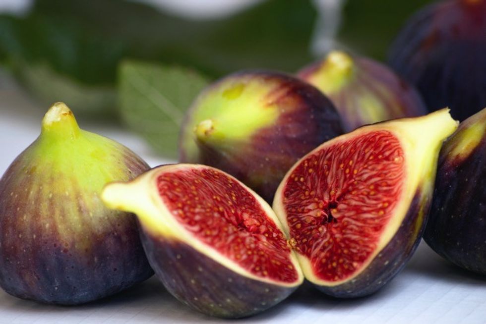 Figs1 0