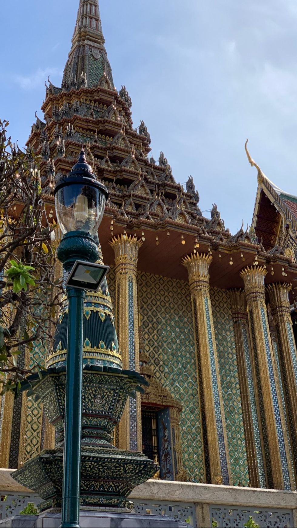 fionagllavica 66620431 342312256659725 6296000185628665724 n