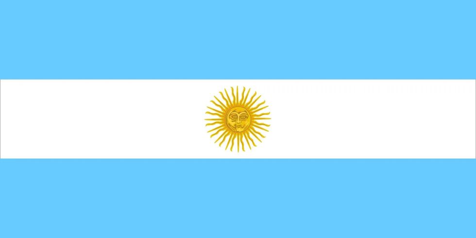 flag Argentina 2010