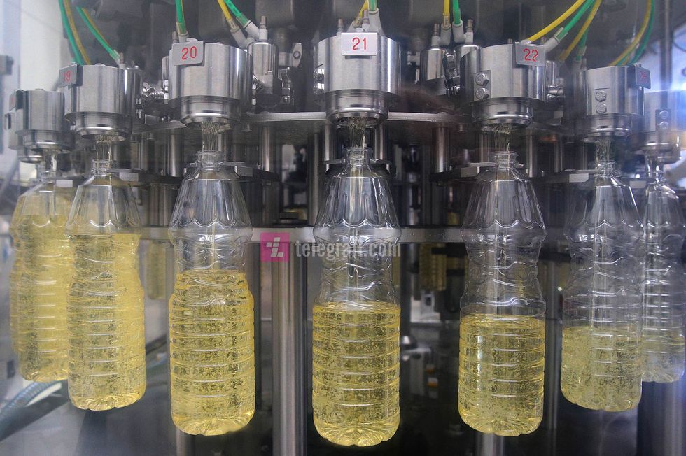 Fluidi Group foto Ridvan Slivova 109