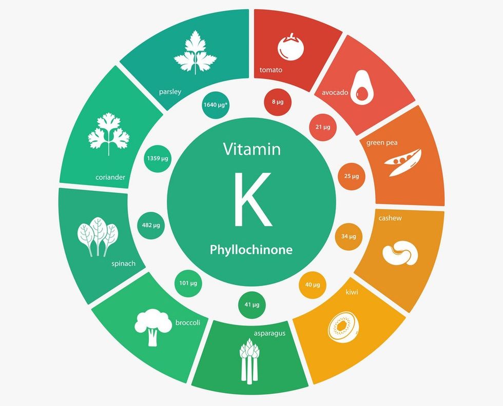 foods high in vitamin k vector 7913185