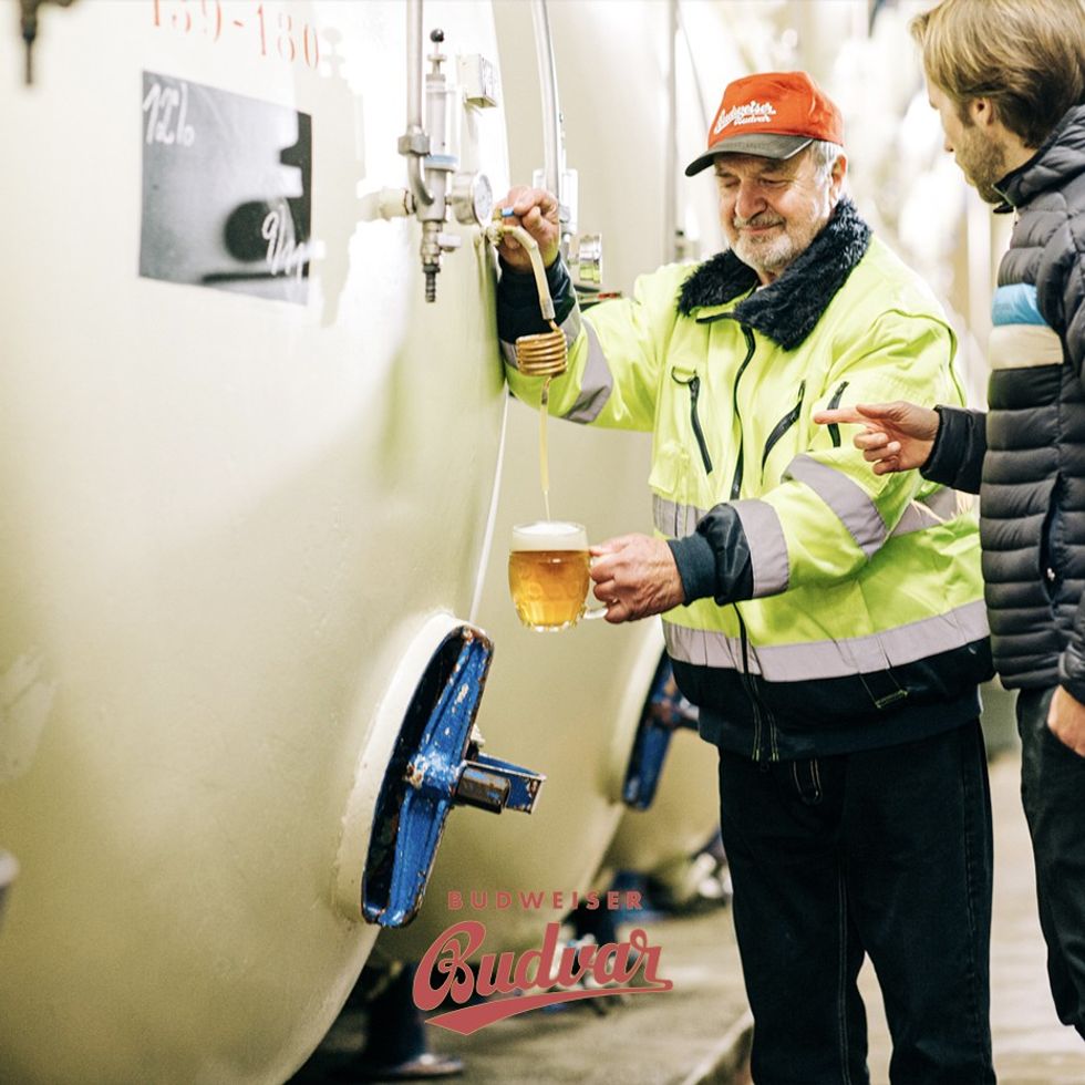 Foto 2 Budweiser