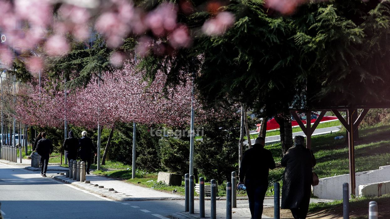 Parashikimi i motit, sot temperatura pranverore Parashikimi i motit, sot temperatura pranverore