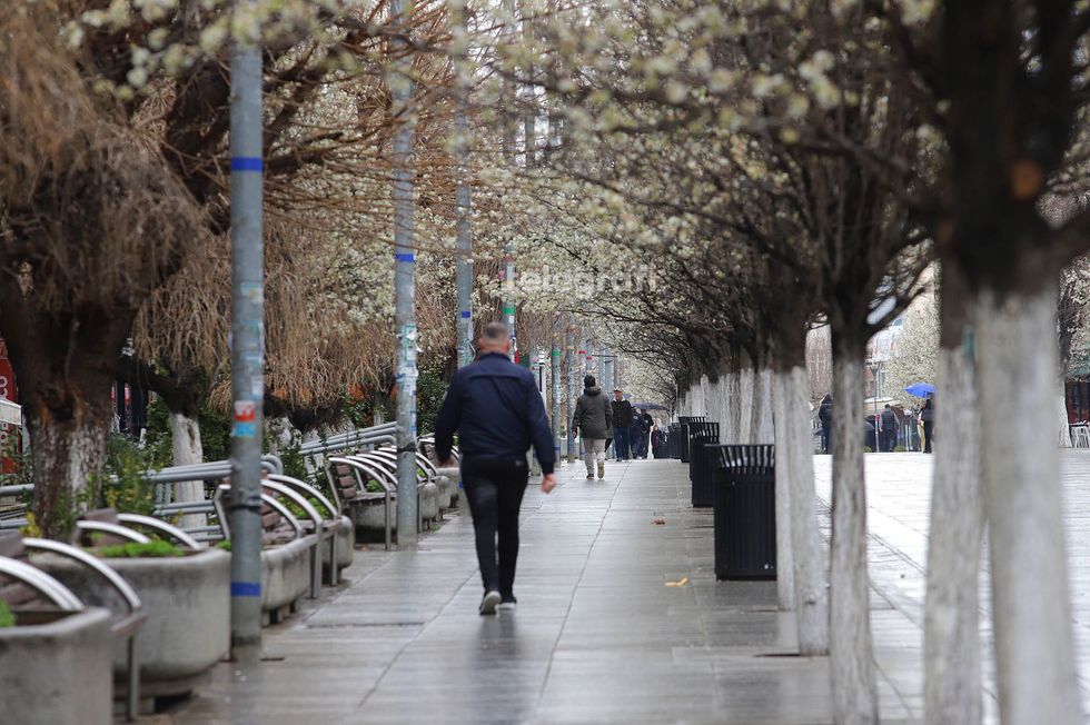 Vranët dhe me riga shiu