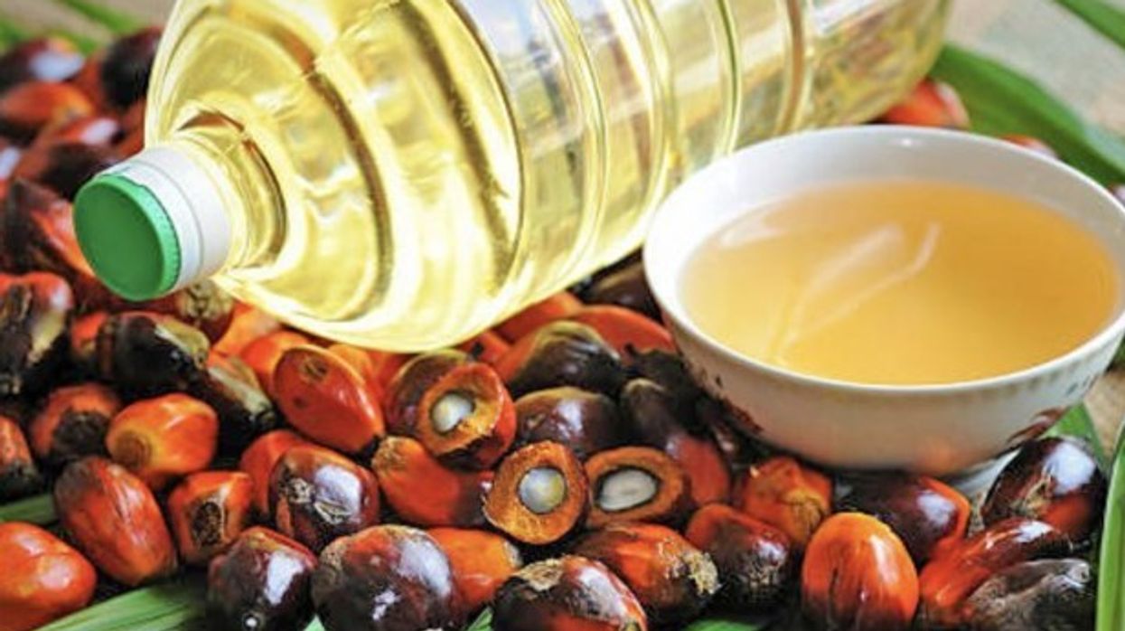 Yndyrat, lloji i tyre dhe etiketimi në produkt i vajit të palmës? Shpjegon nutricistja Albulena Shabani Ilazi Yndyrat, lloji i tyre dhe etiketimi në produkt i vajit të palmës? Shpjegon nutricistja Albulena Shabani Ilazi