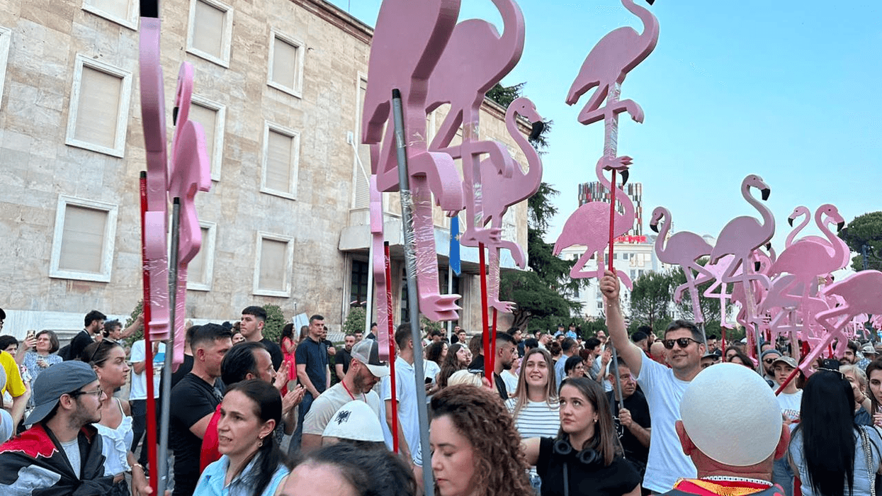 Revolucioni i Flamingove: Mijëra arsye për protestë