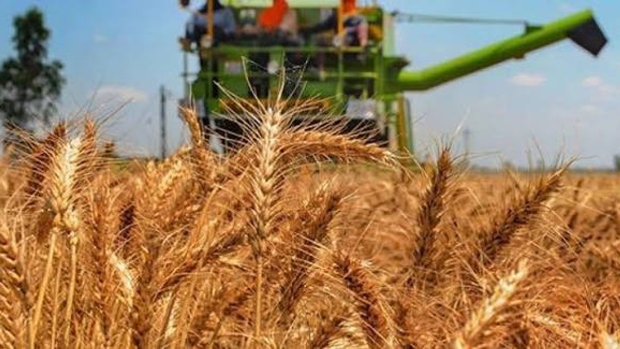 Komuna e Istogut apelon te fermerët për kujdes gjatë korrje-shirjeve, kërkon masa për parandalimin e zjarreve