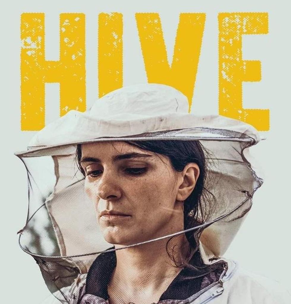 Foto Zgjoi e1612359181499