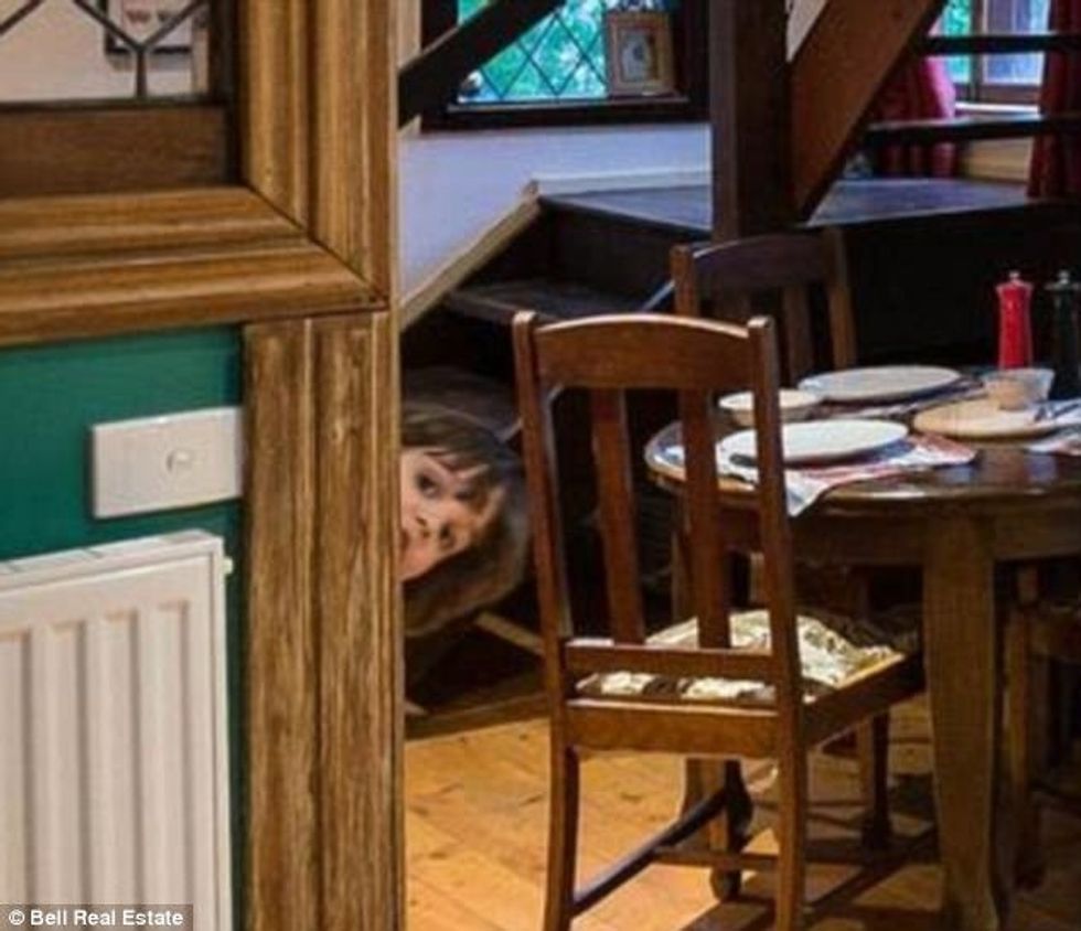 Fotografia e publikuar në agjencinë e patundshmërive shfaqe edhe nje femije foto 3