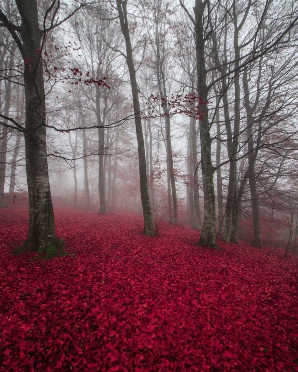 Fotografia që i la mbresa ministres Çitaku. Foto nga:
