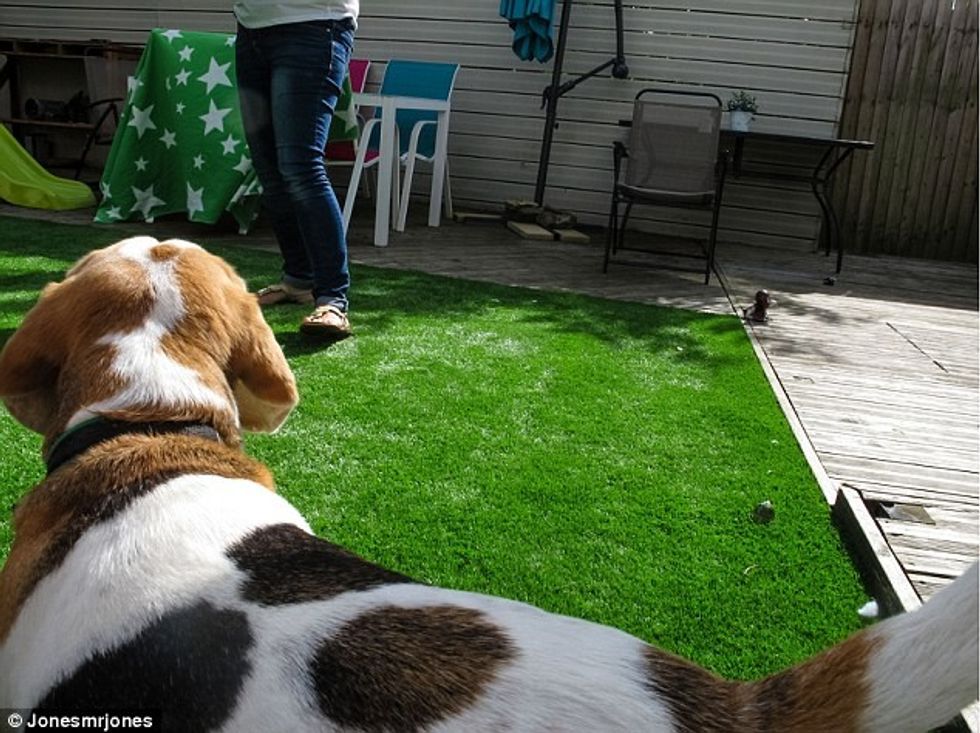 Fotografitë e bëra nga këndvështrimi i një fëmije të vogël foto 4