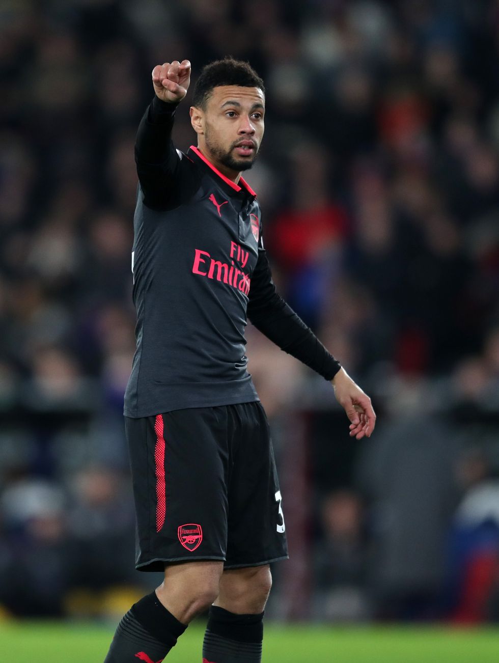 Francis Coquelin 1