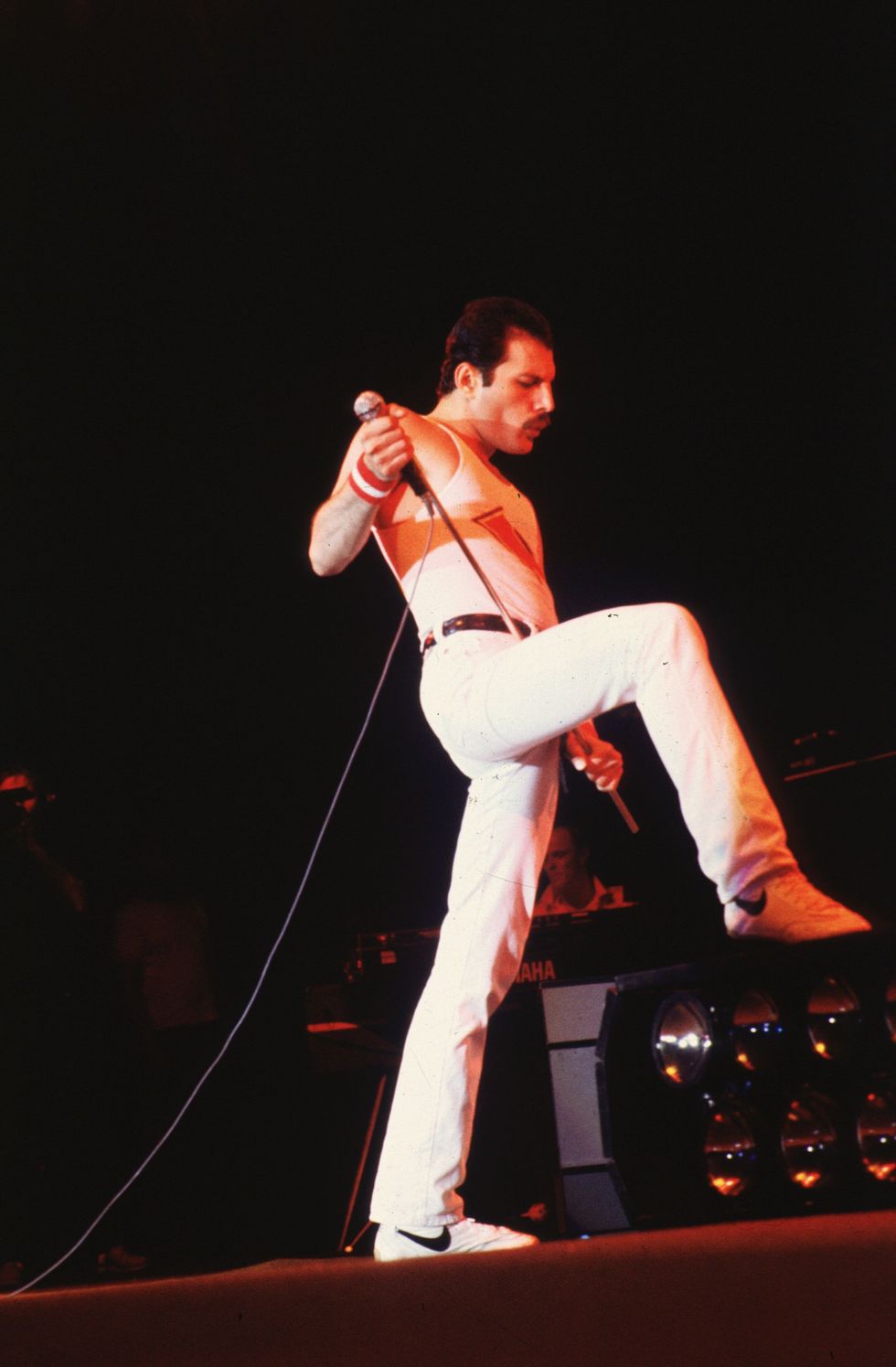 FreddieMercury 1