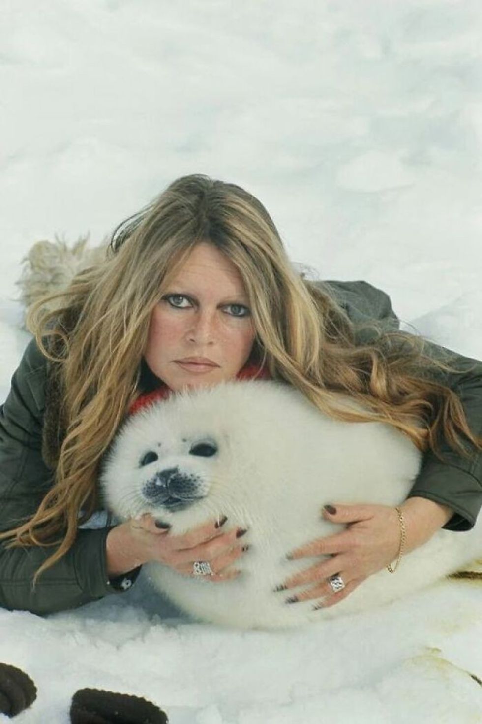 French Actress And Animal Lover Brigitte Bardot Pose For A Photo With A Harp Seal Pub In Newfoundland, Canada. Mar 1977. Bardot Traveled To Newfoundland To Publicly Oppose Seal Hunting