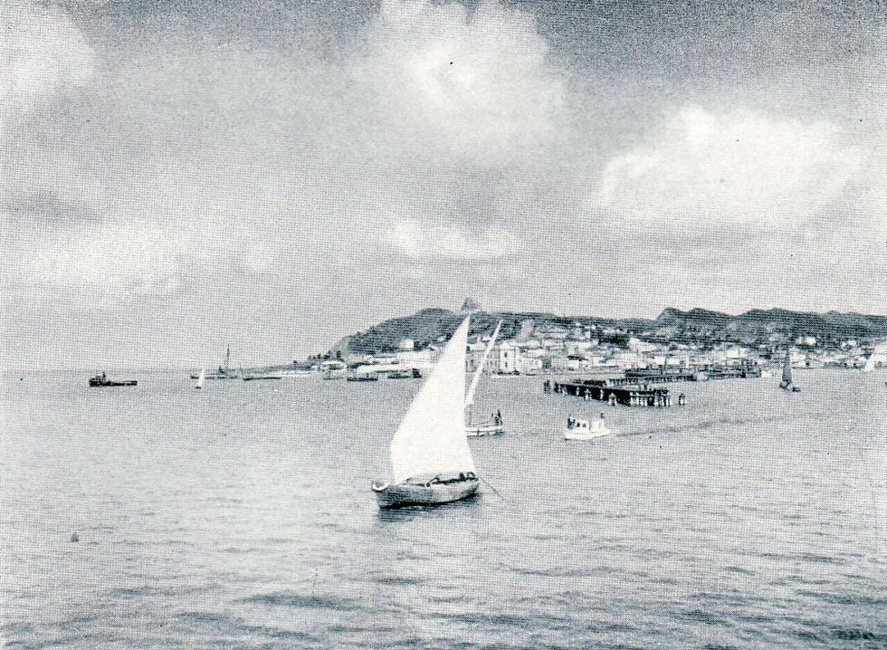 Friedrich Wallisch 02