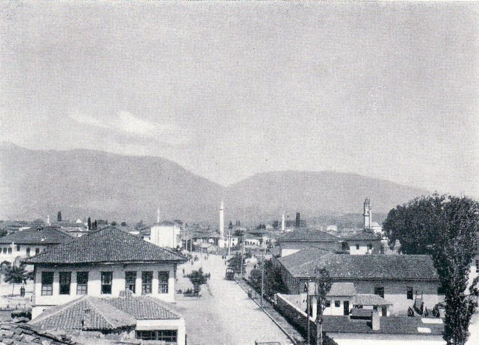 Friedrich Wallisch 03