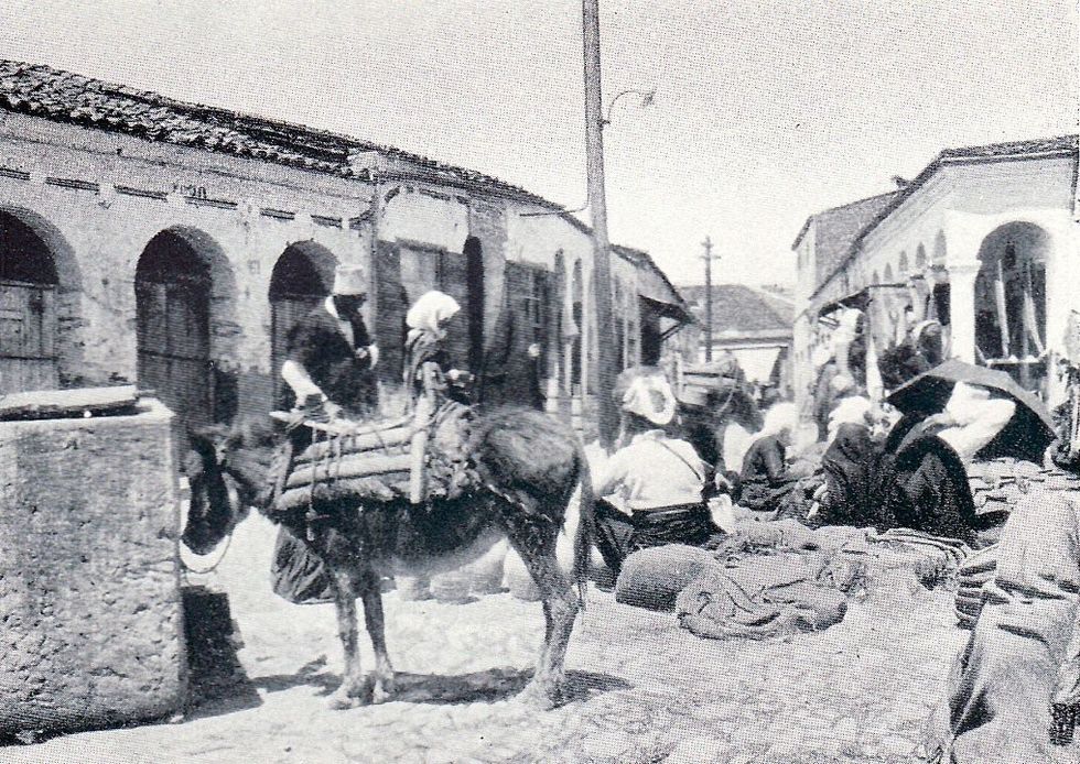 Friedrich Wallisch 09