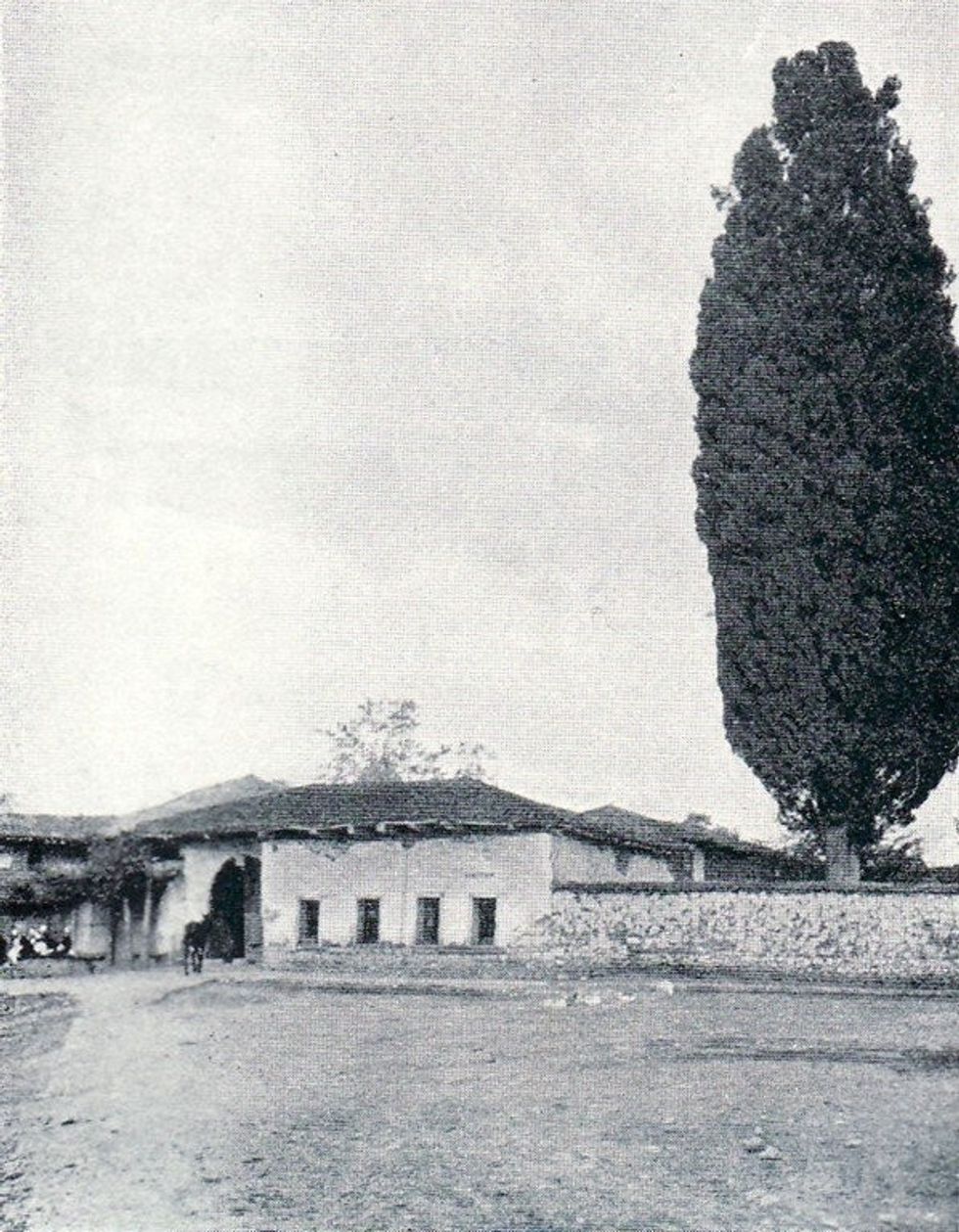 Friedrich Wallisch 16