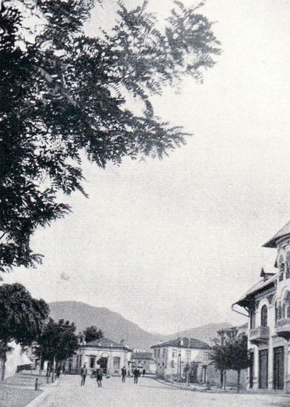 Friedrich Wallisch 24