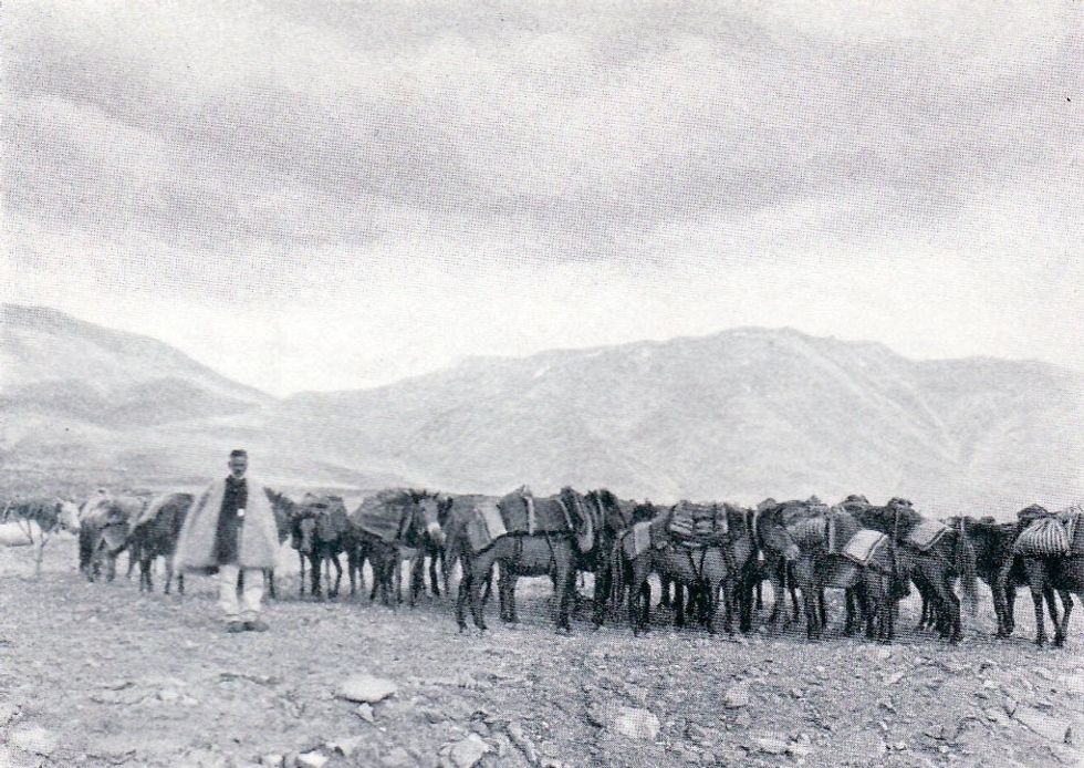 Friedrich Wallisch 25