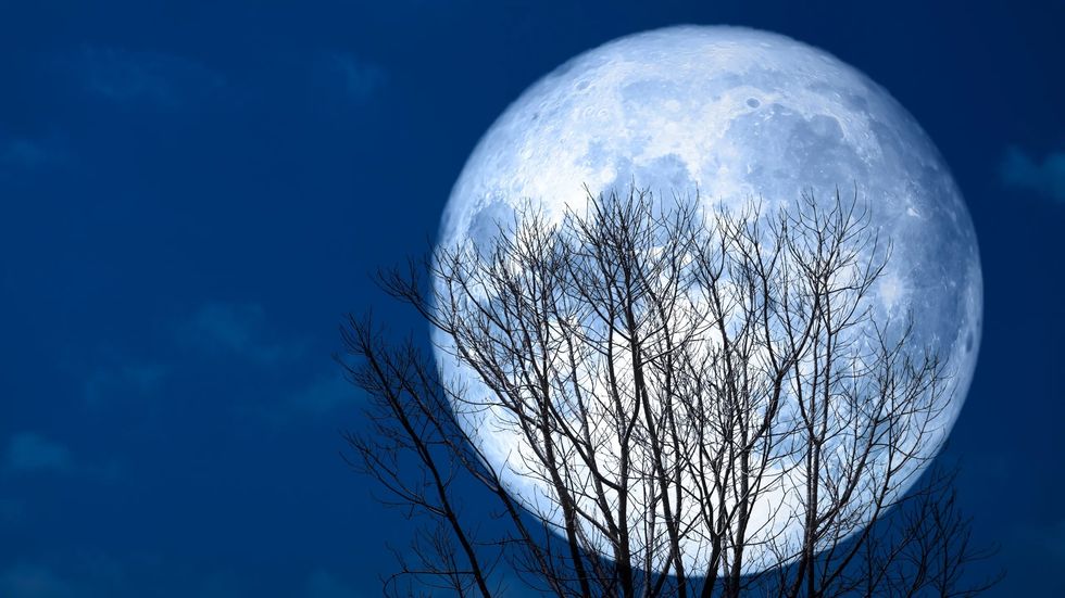 full20moon20202320Getty201