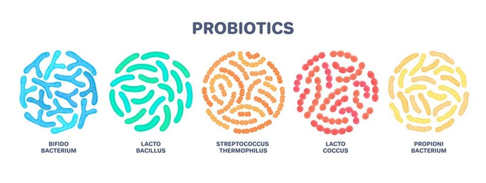 funny probiotics bacteria family cartoo