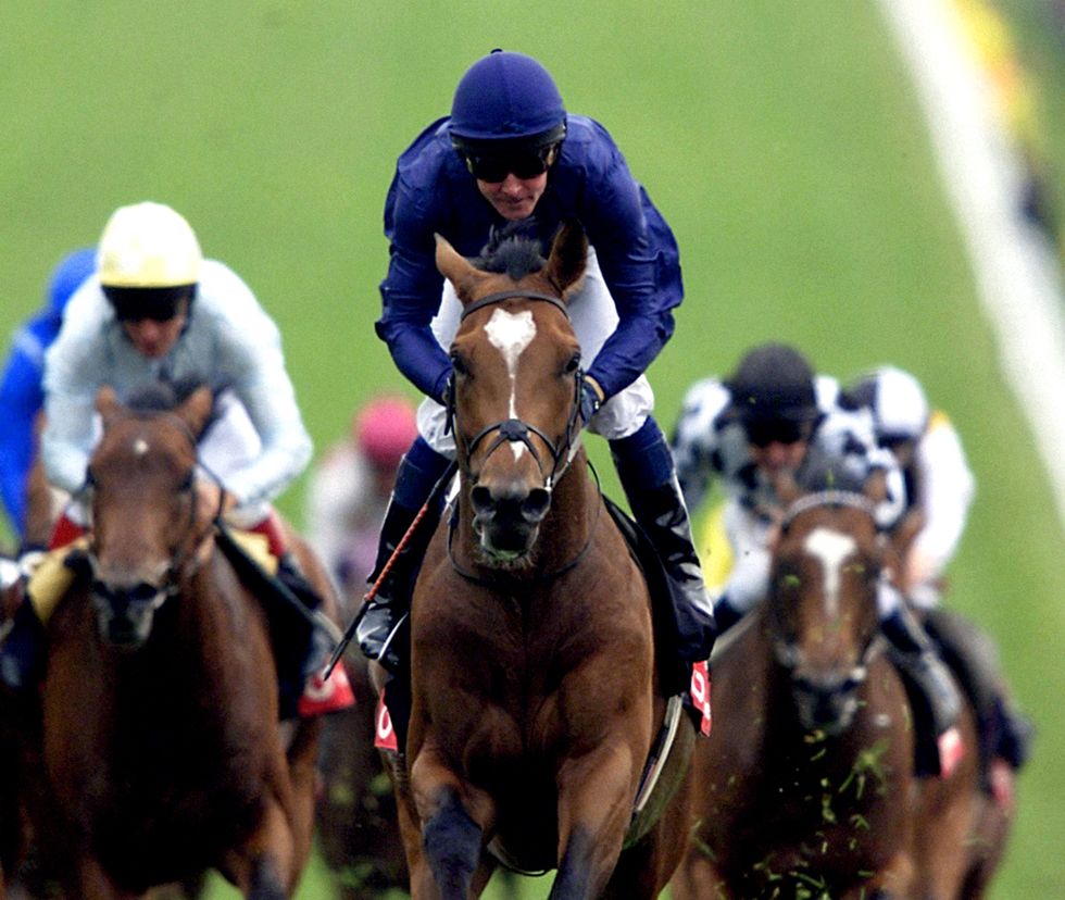 Galileo ishte i mirë si vrapues, por i ka bërë pronarët e tij miliona e miliona si hamshor