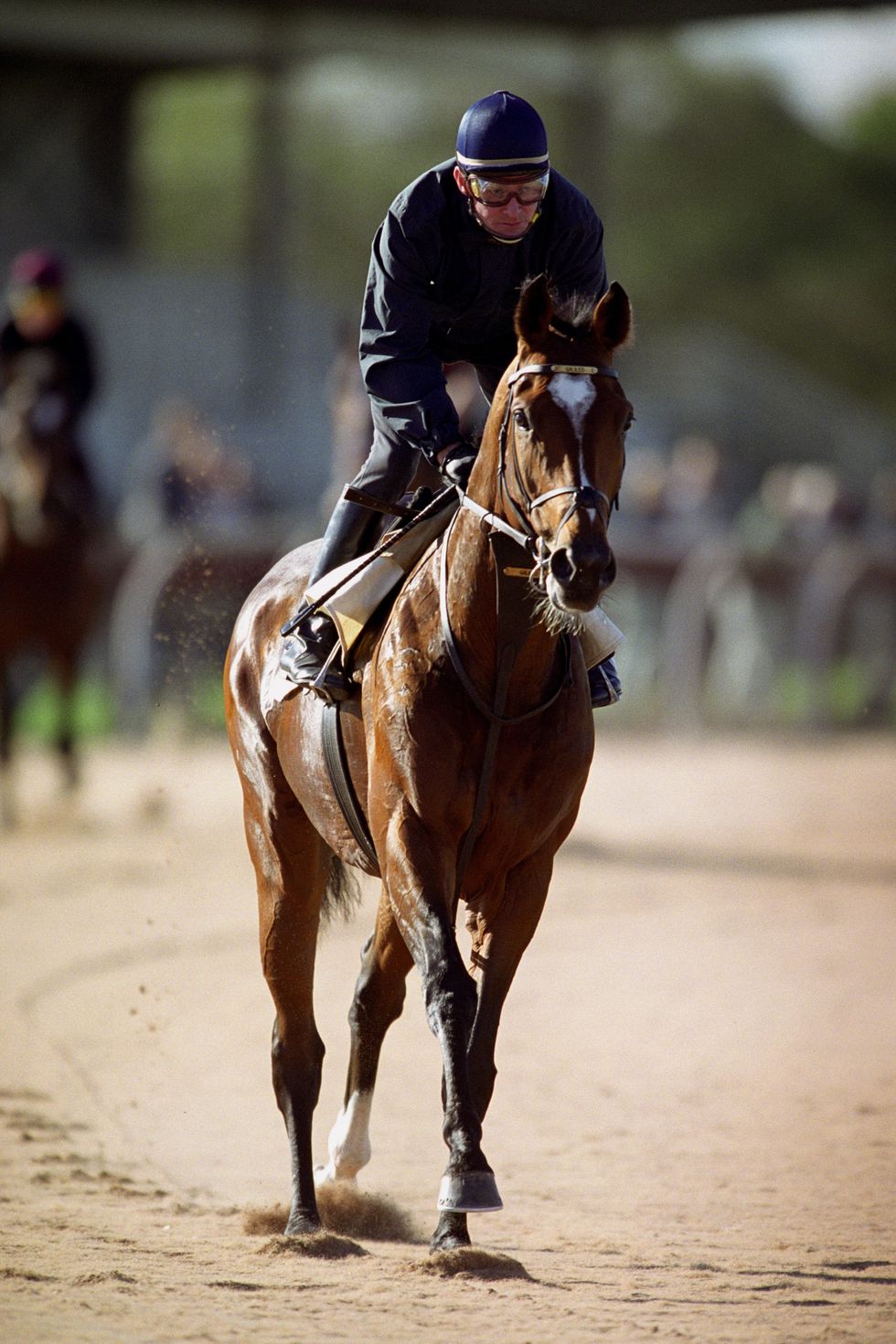 Galileo pati një karrierë të mirë në pistë - por është bërë një gjigant që fiton para jashtë saj