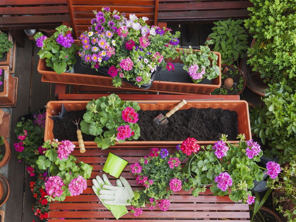 gardening different spring and summer flowers flower box and gardening tools on garden t scaled