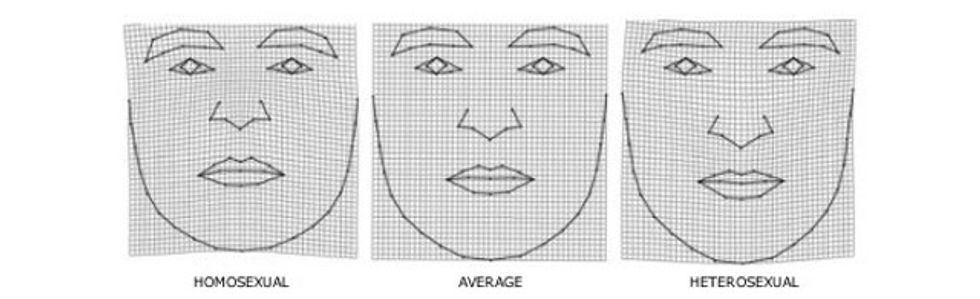 gay straight face shapes