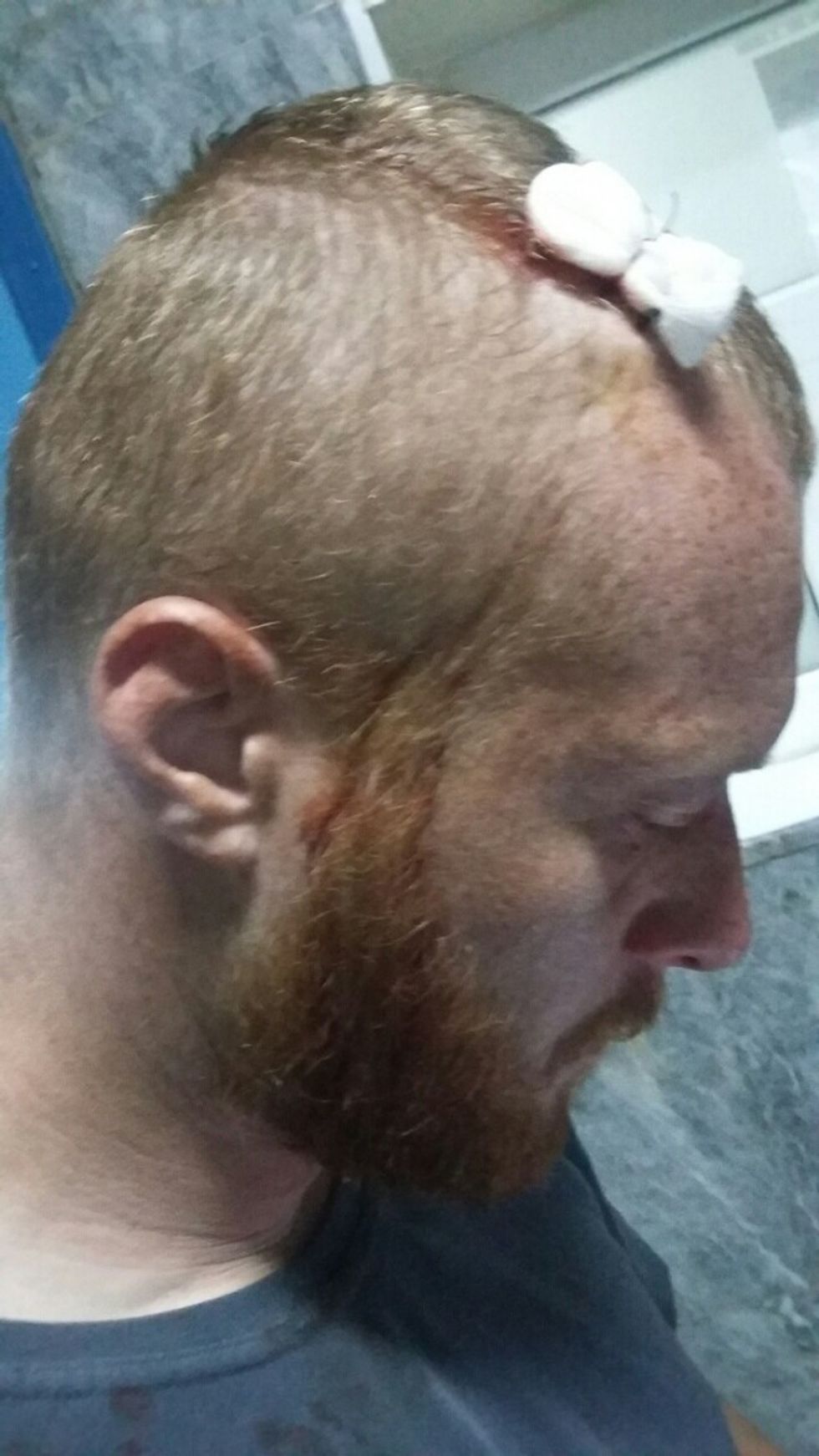 Gazetari i lenduar 4