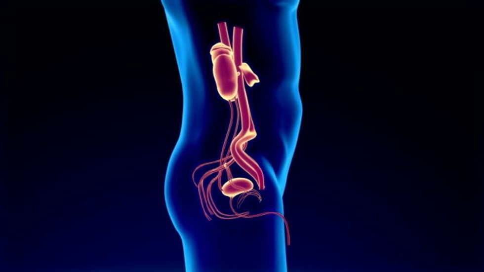 gettyimages 1166556154 1