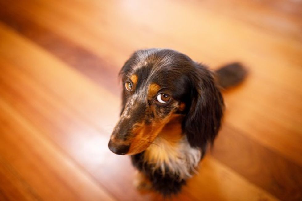 GettyImages 1190284847