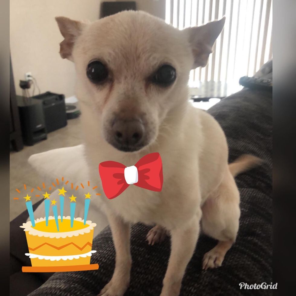 gisishore 136079760 3810195165699987 9161132905095700233 n