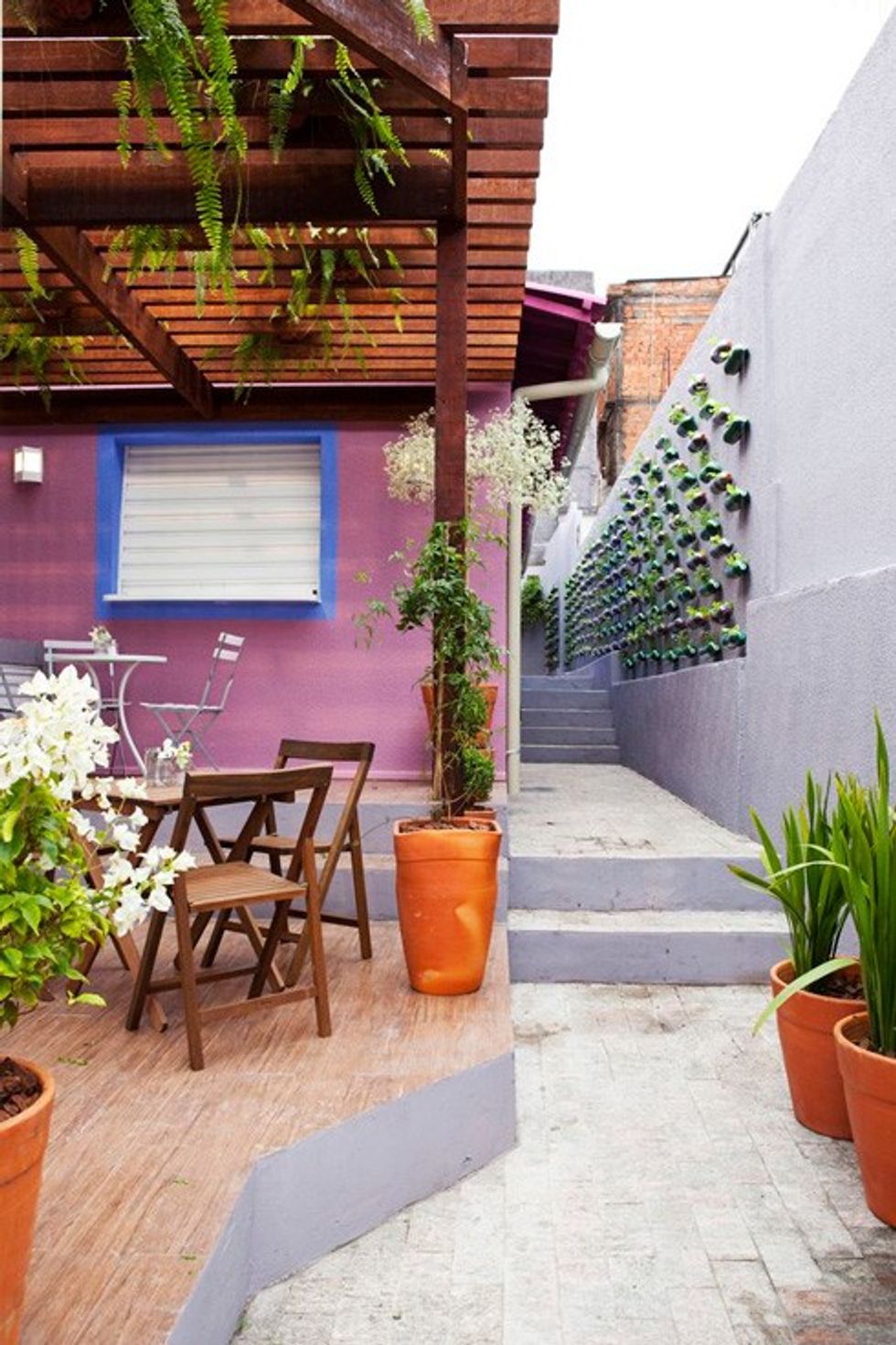 Gjelbërimi në shishe plastike 3