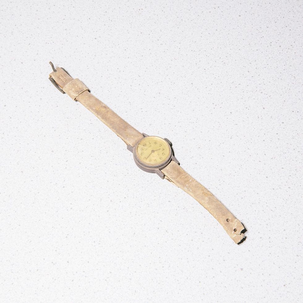 Gjërat më të çuditshme që njerëzit i kanë hedhur përmes tualetit foto 6